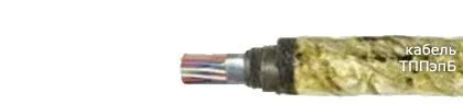 Кабель ТППэпБ 30х2х0,64-200