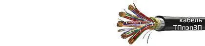 Кабель ТПпэпЗП 300х2х0,4-200