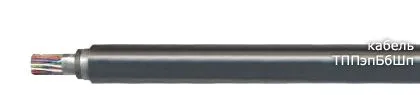 Кабель ТППэпБбШп