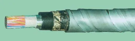 Кабель ТПппПЗБГ 10х2х0,4